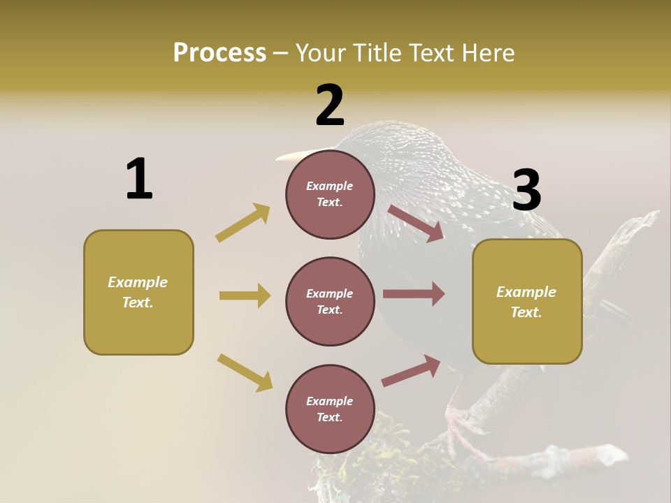 Ornithology Common Starling Cute PowerPoint Template