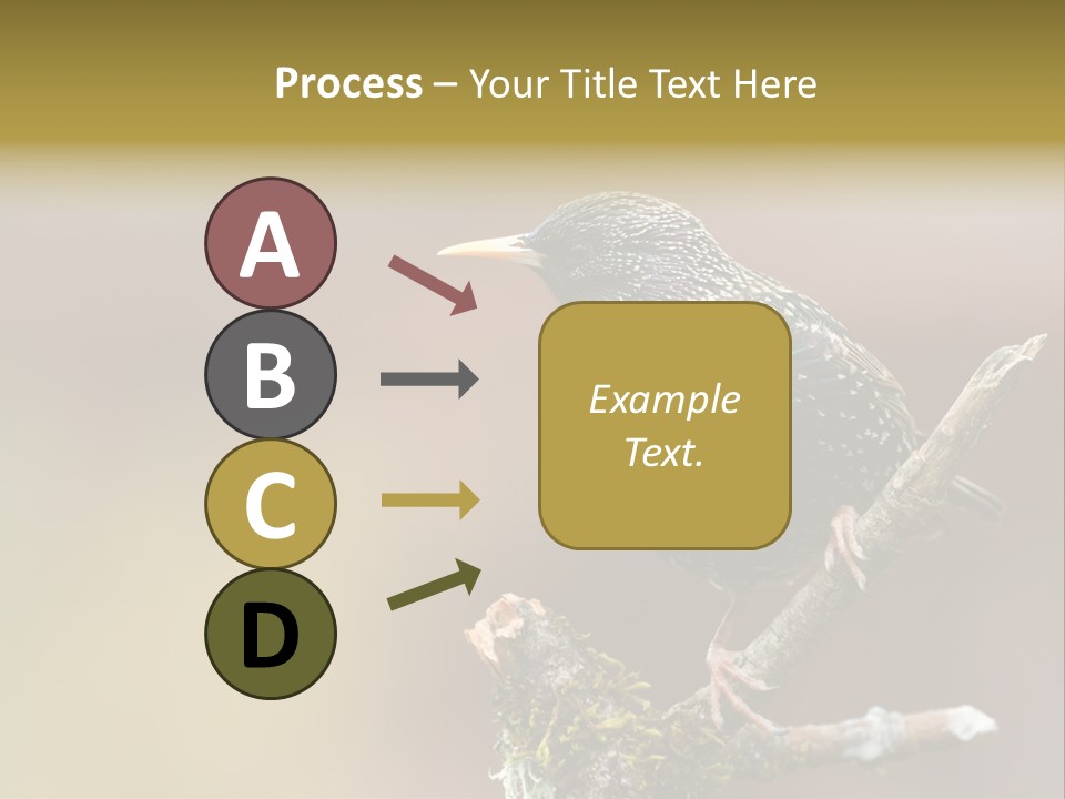 Ornithology Common Starling Cute PowerPoint Template