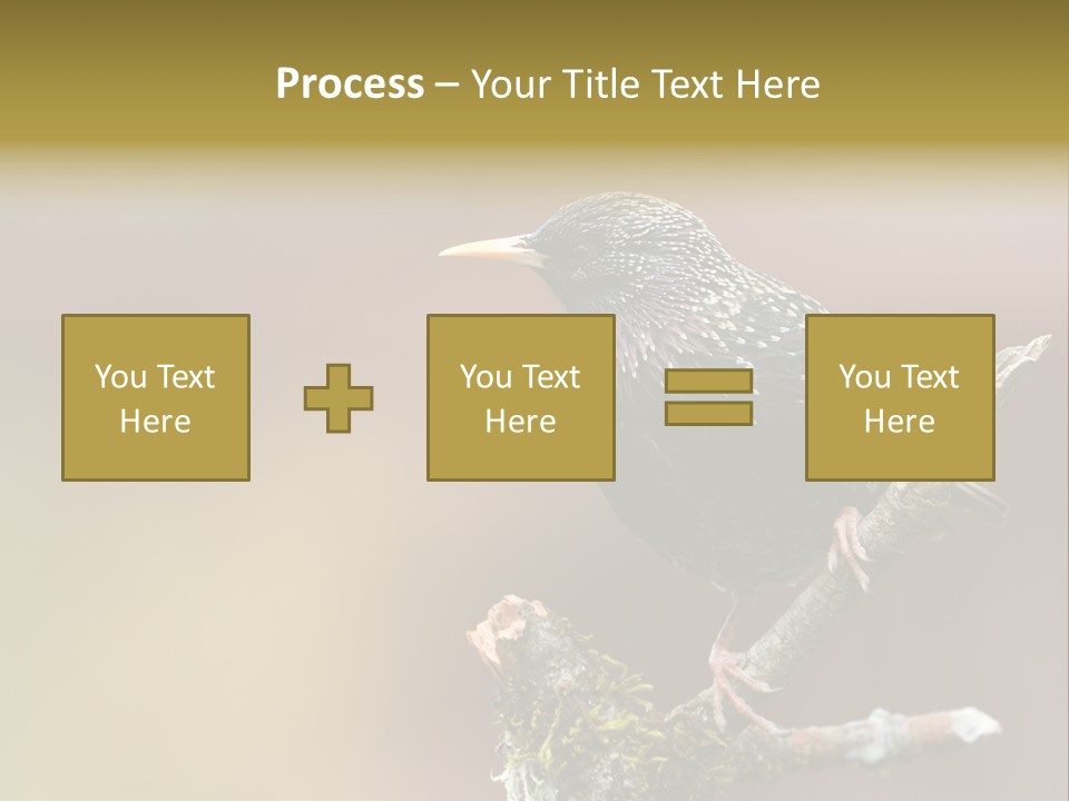 Ornithology Common Starling Cute PowerPoint Template