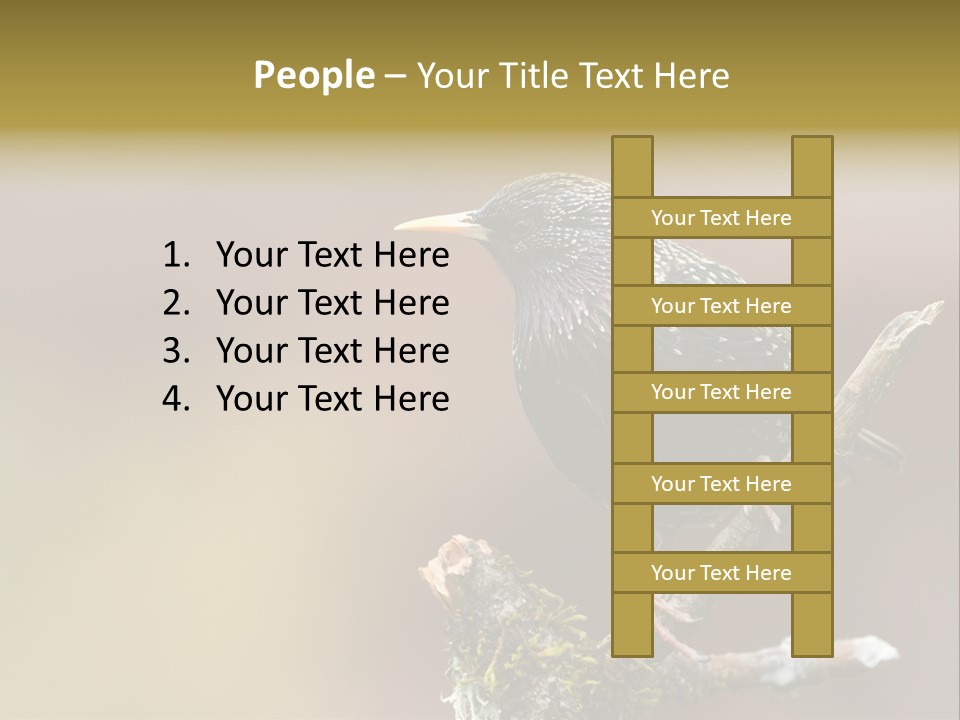 Ornithology Common Starling Cute PowerPoint Template