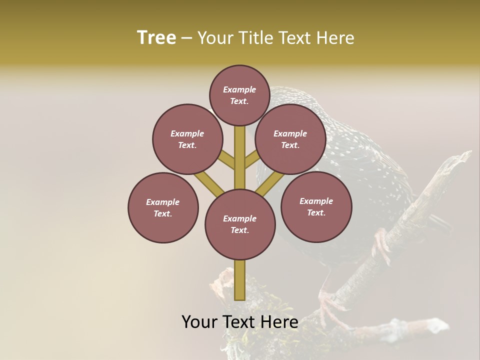 Ornithology Common Starling Cute PowerPoint Template