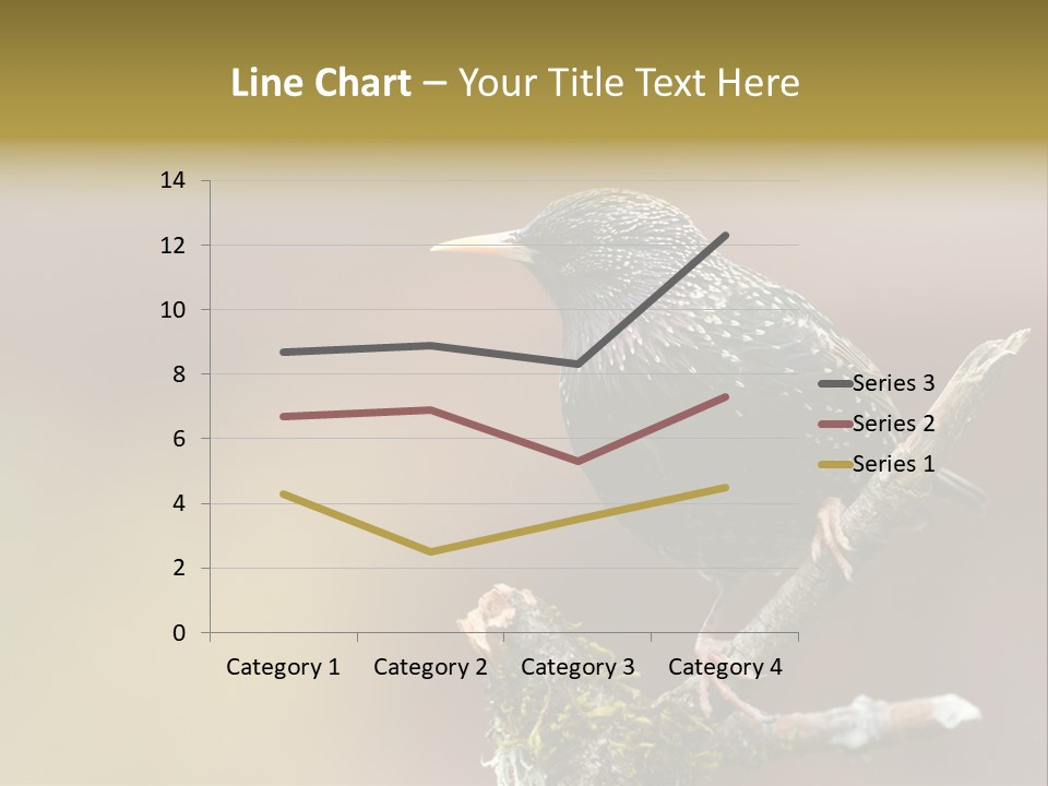Ornithology Common Starling Cute PowerPoint Template