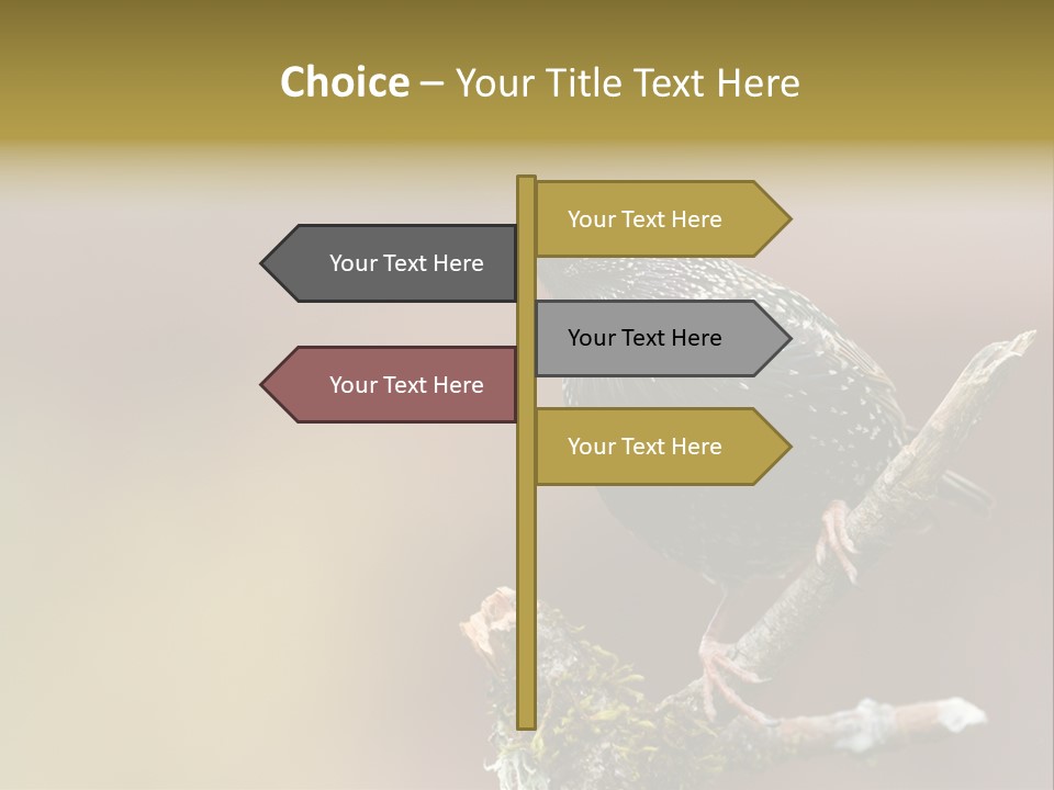 Ornithology Common Starling Cute PowerPoint Template