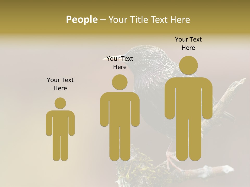 Ornithology Common Starling Cute PowerPoint Template