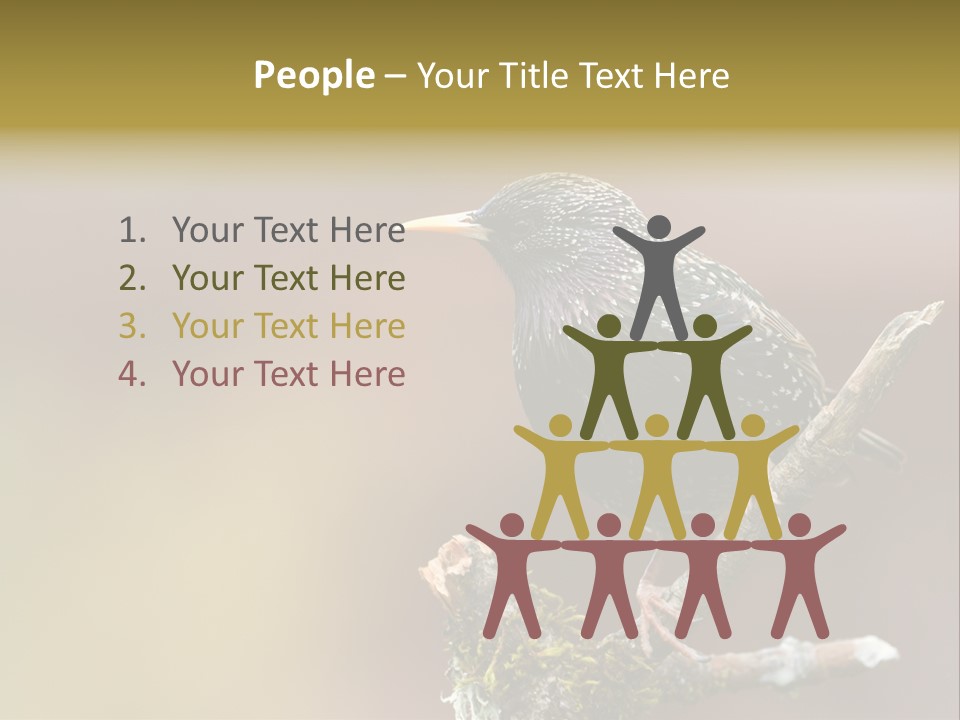 Ornithology Common Starling Cute PowerPoint Template