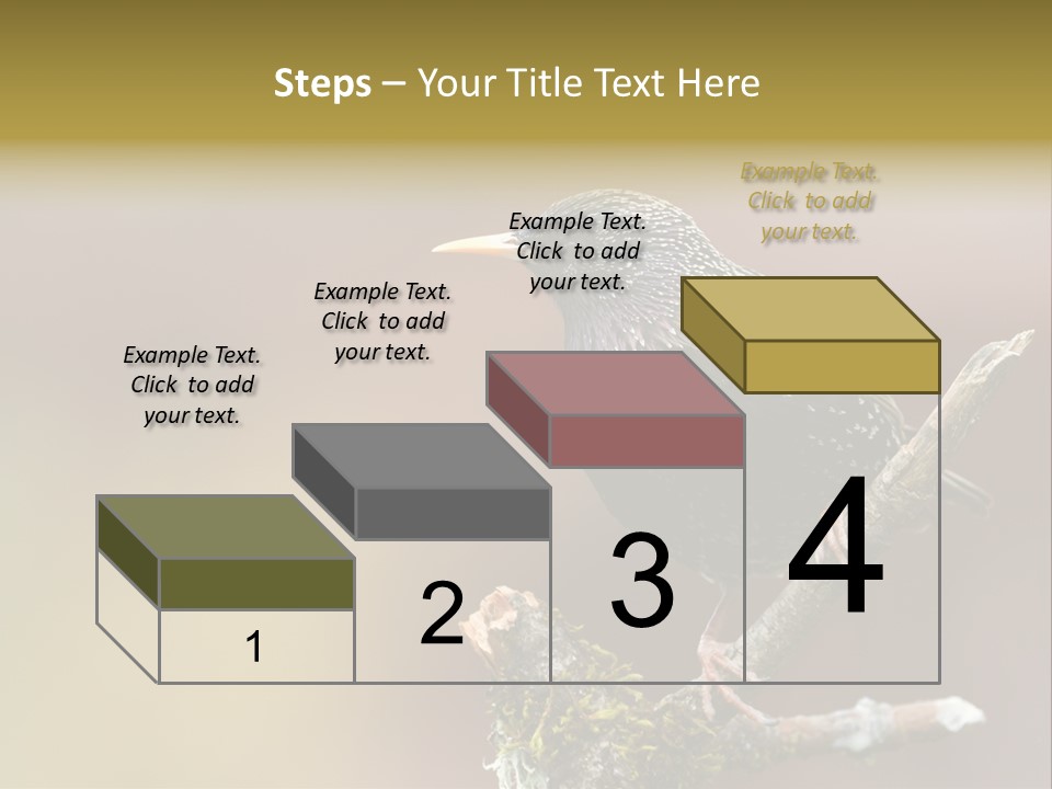 Ornithology Common Starling Cute PowerPoint Template