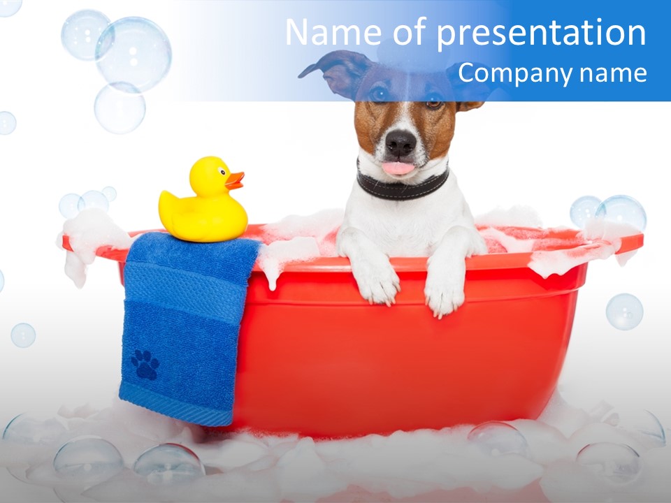 Dog Bathtub Towel PowerPoint Template