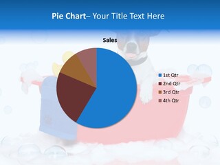 Dog Bathtub Towel PowerPoint Template