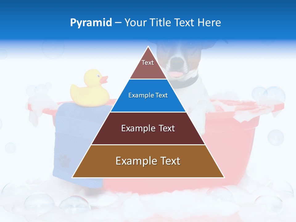 Dog Bathtub Towel PowerPoint Template