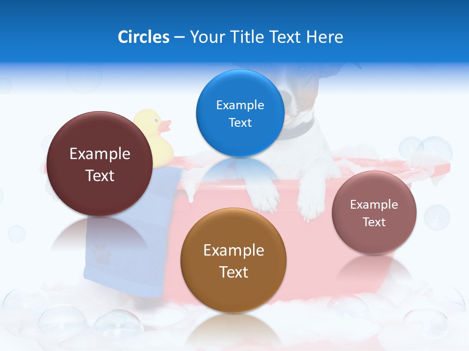 Dog Bathtub Towel PowerPoint Template