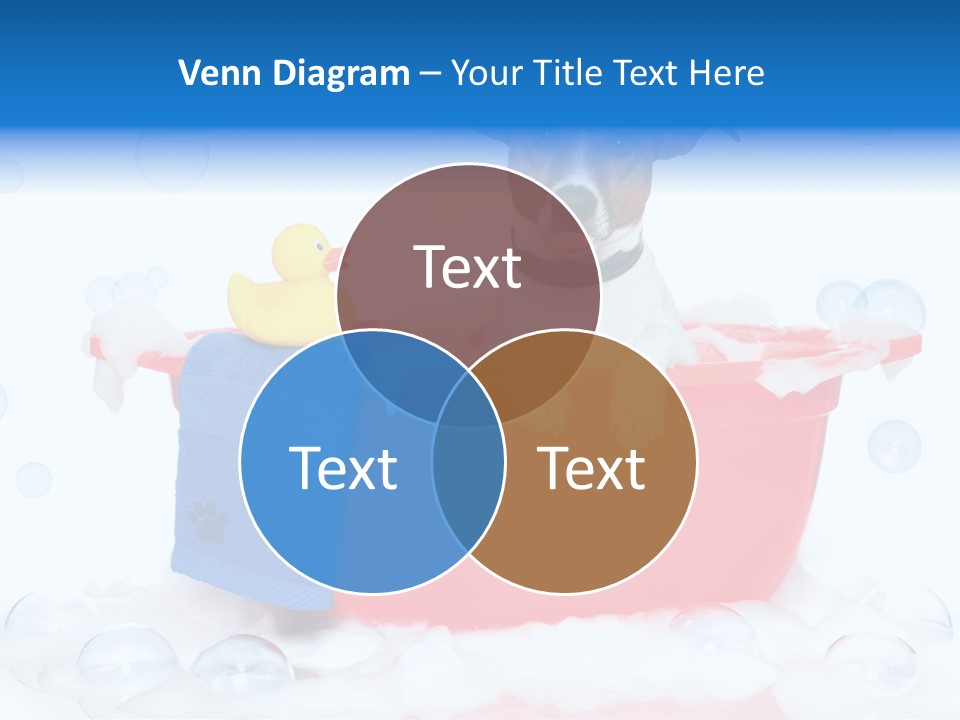 Dog Bathtub Towel PowerPoint Template