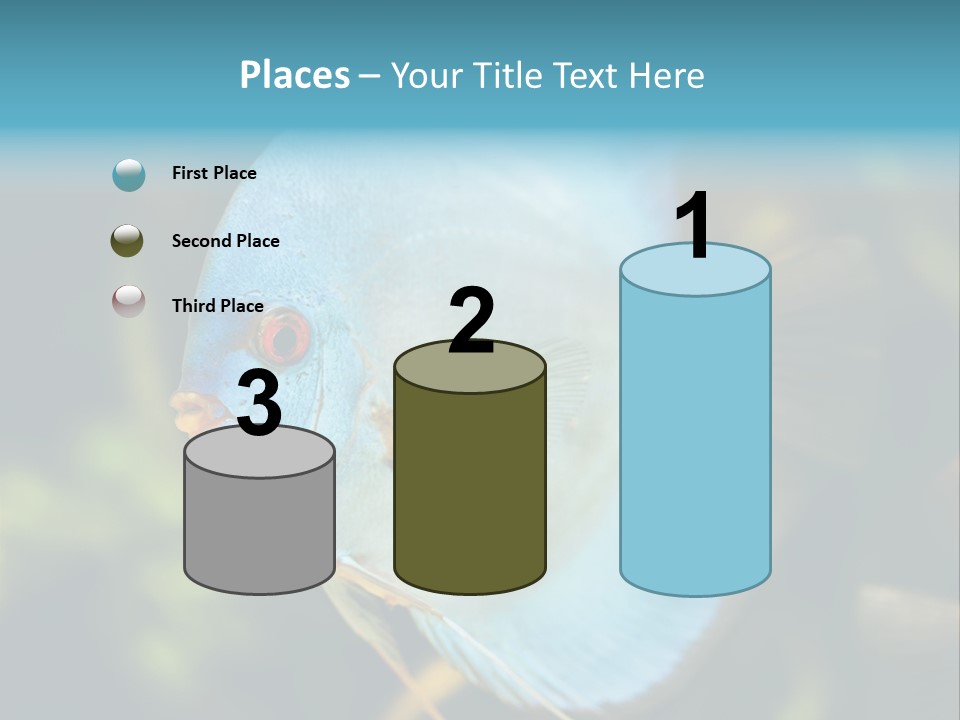 White View Side PowerPoint Template