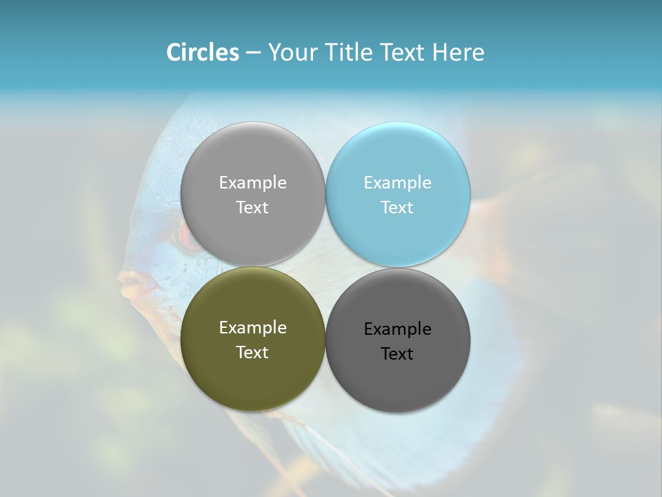 White View Side PowerPoint Template