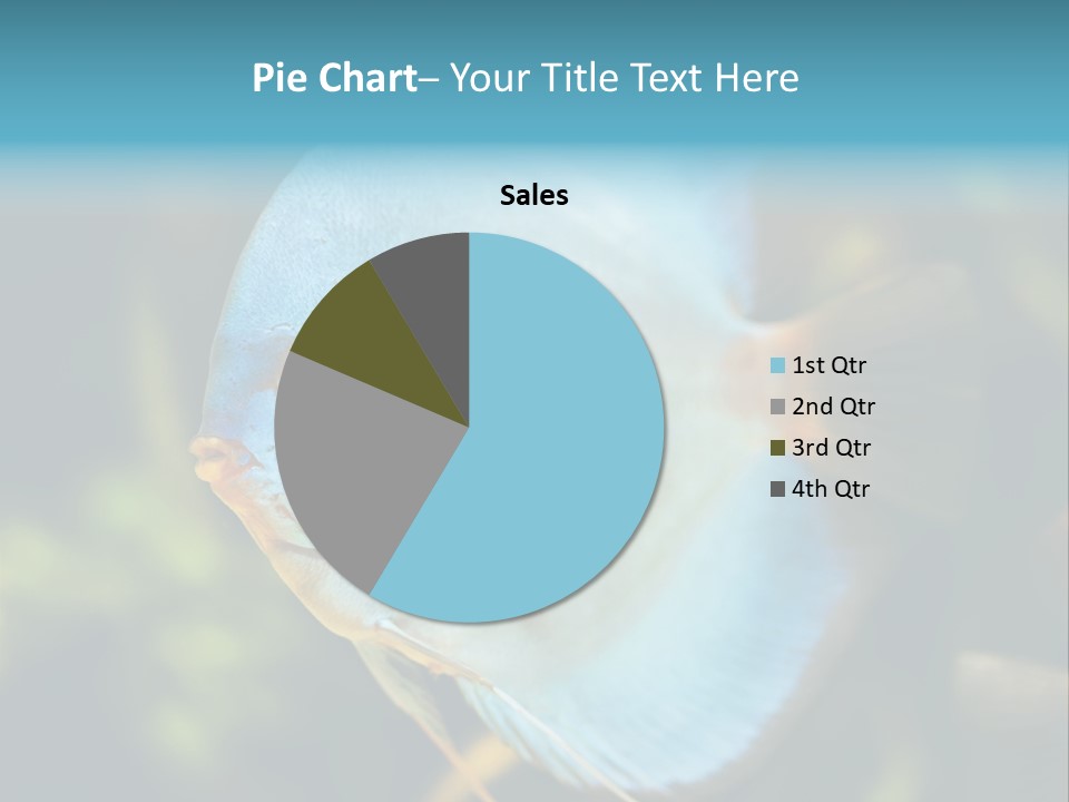 White View Side PowerPoint Template