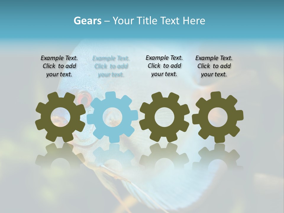 White View Side PowerPoint Template