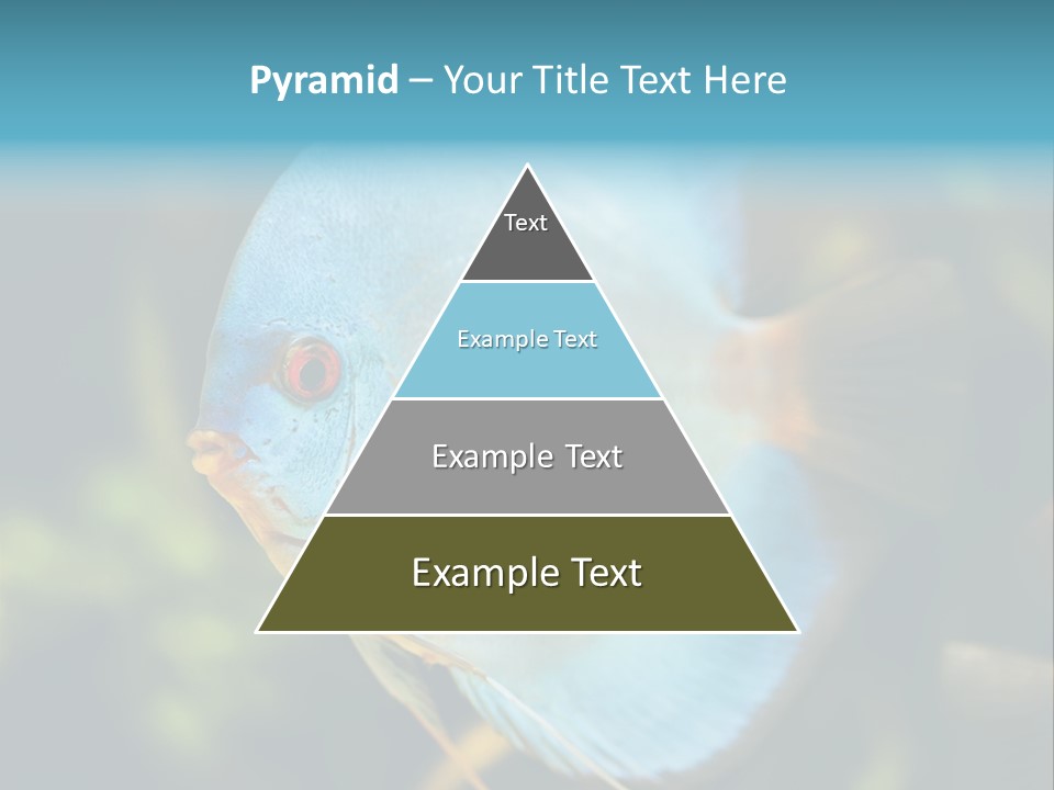 White View Side PowerPoint Template