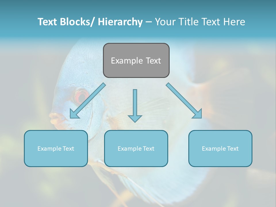 White View Side PowerPoint Template
