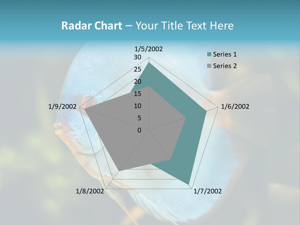 White View Side PowerPoint Template
