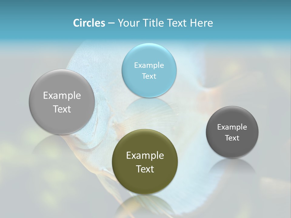 White View Side PowerPoint Template