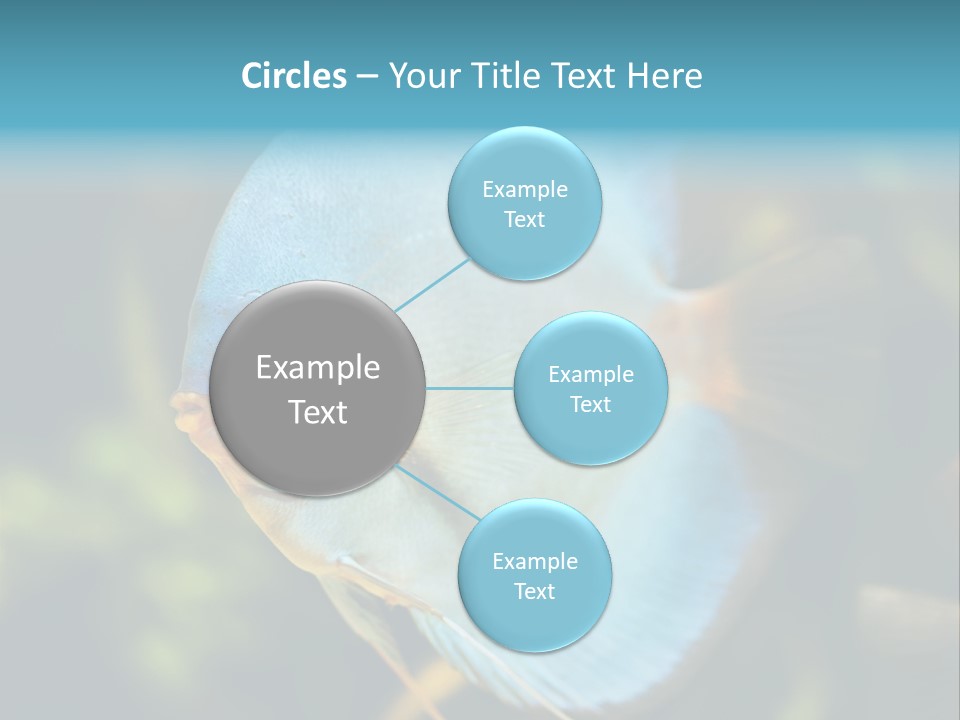 White View Side PowerPoint Template