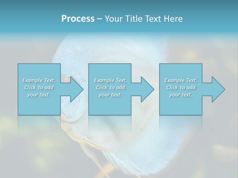 White View Side PowerPoint Template