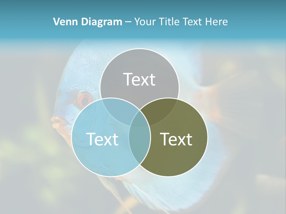 White View Side PowerPoint Template