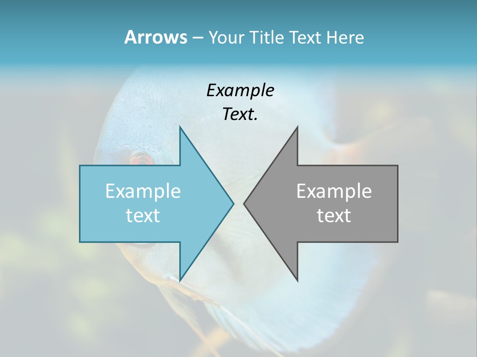 White View Side PowerPoint Template