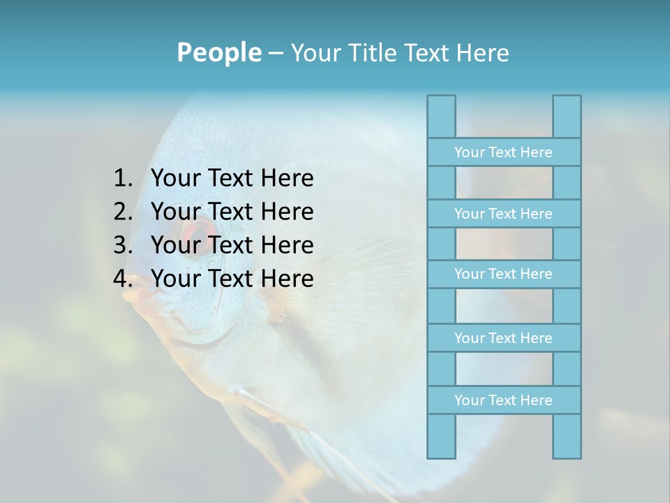 White View Side PowerPoint Template