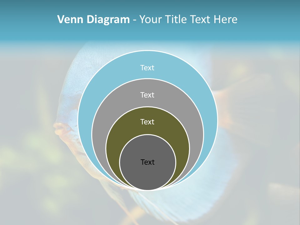 White View Side PowerPoint Template