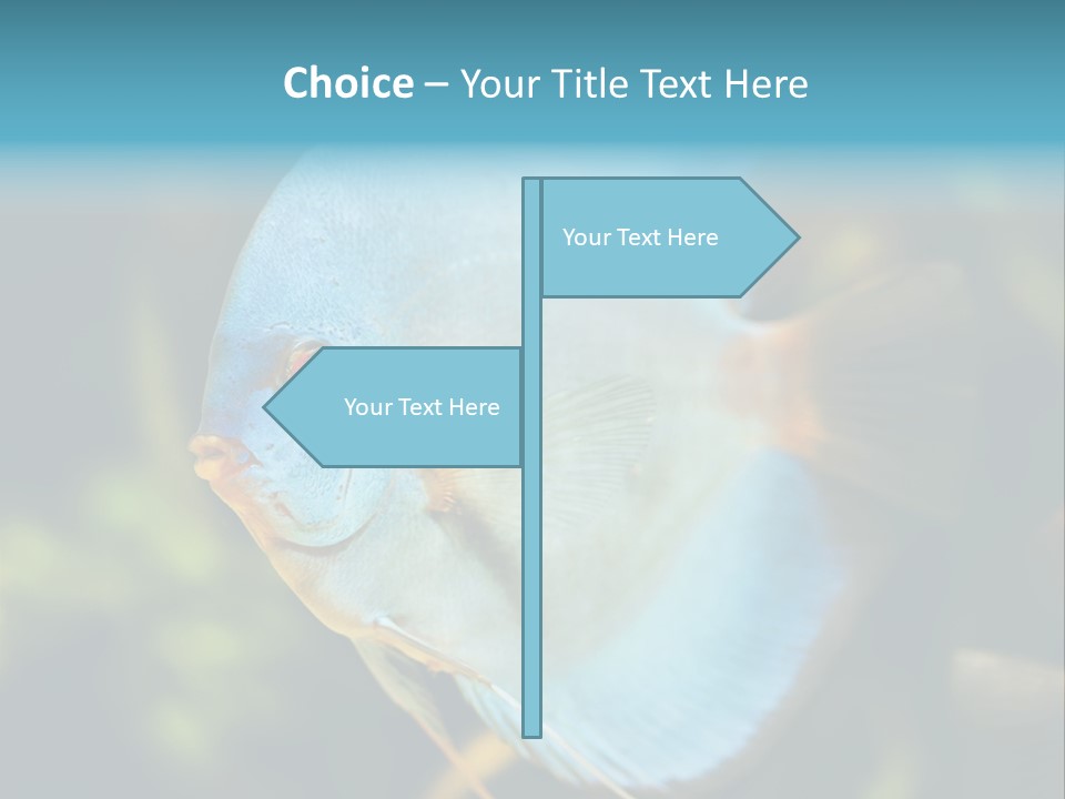 White View Side PowerPoint Template