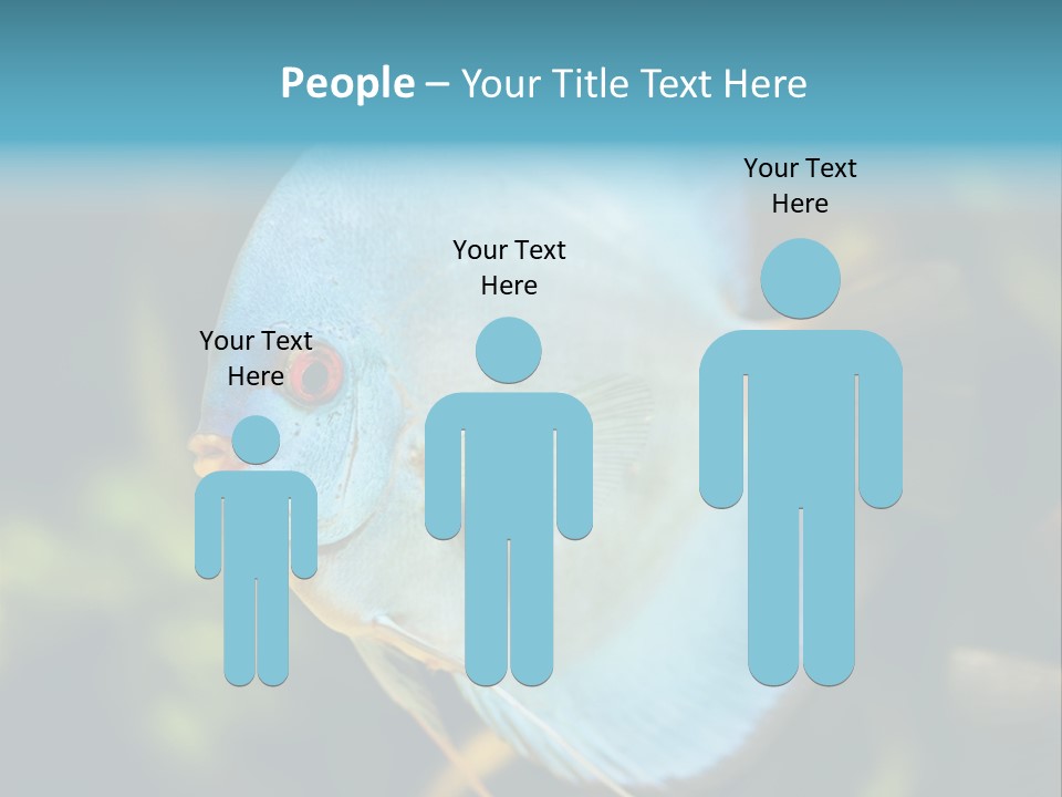 White View Side PowerPoint Template