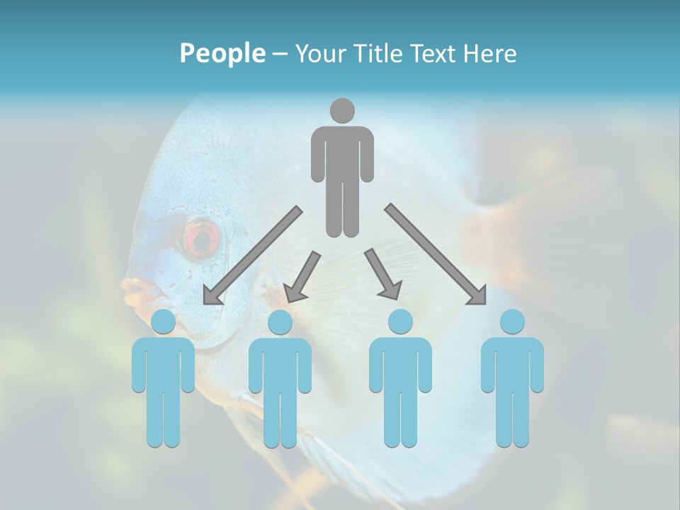 White View Side PowerPoint Template