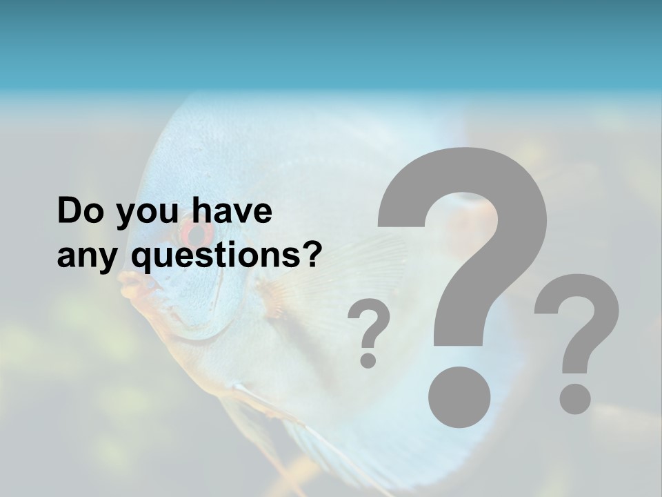 White View Side PowerPoint Template