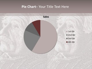 German Postage Usa PowerPoint Template