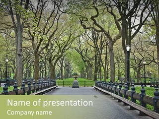 Sycamore Urban Cobblestone PowerPoint Template