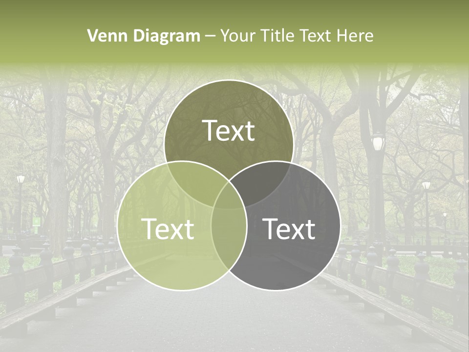 Sycamore Urban Cobblestone PowerPoint Template