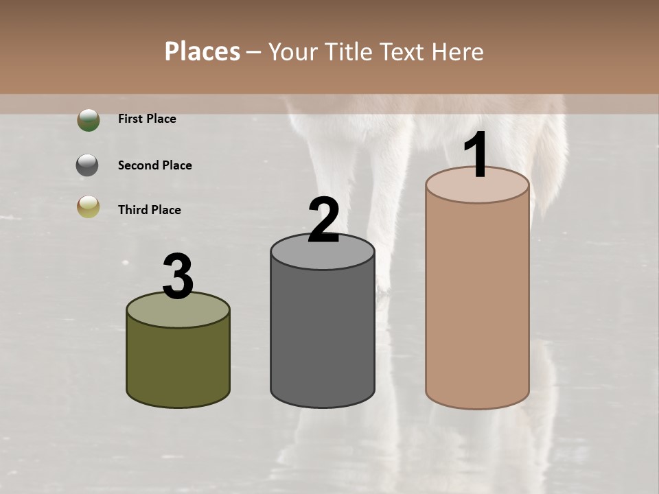 Gray Canine Danger PowerPoint Template