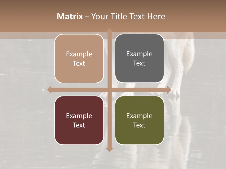 Gray Canine Danger PowerPoint Template