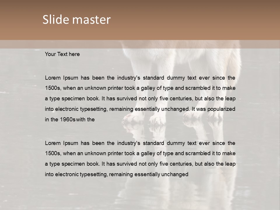 Gray Canine Danger PowerPoint Template