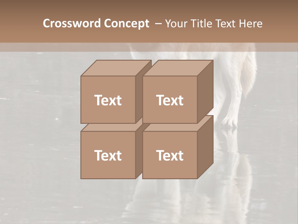 Gray Canine Danger PowerPoint Template