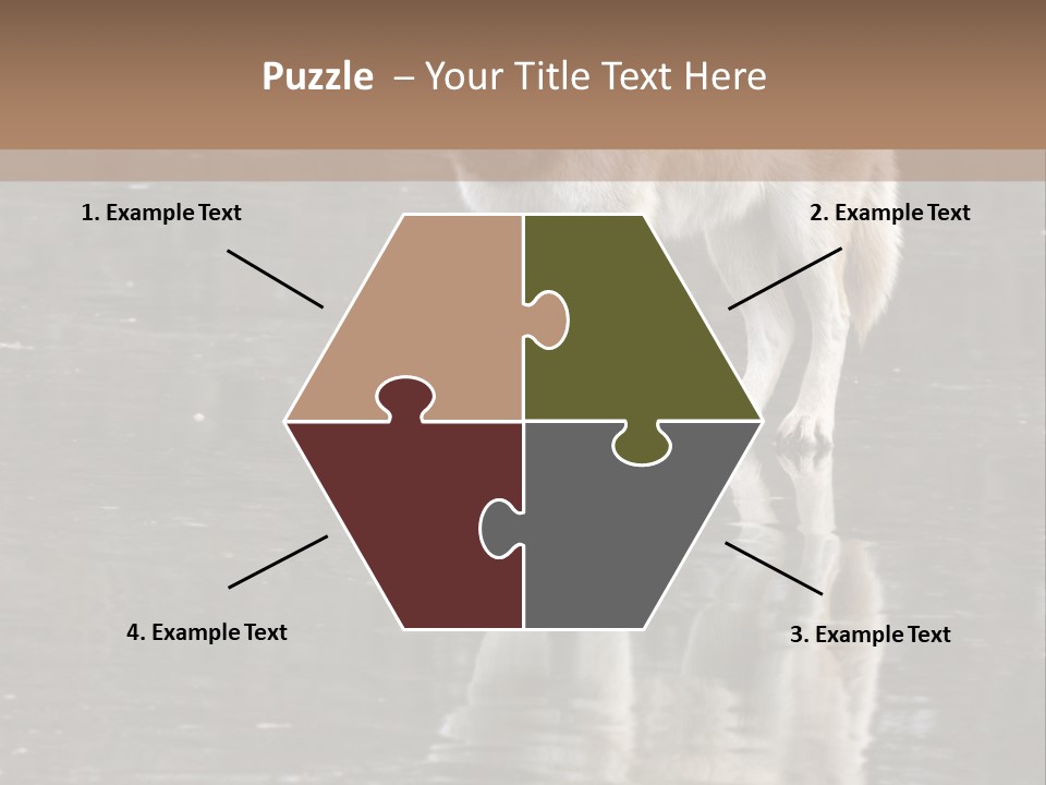 Gray Canine Danger PowerPoint Template