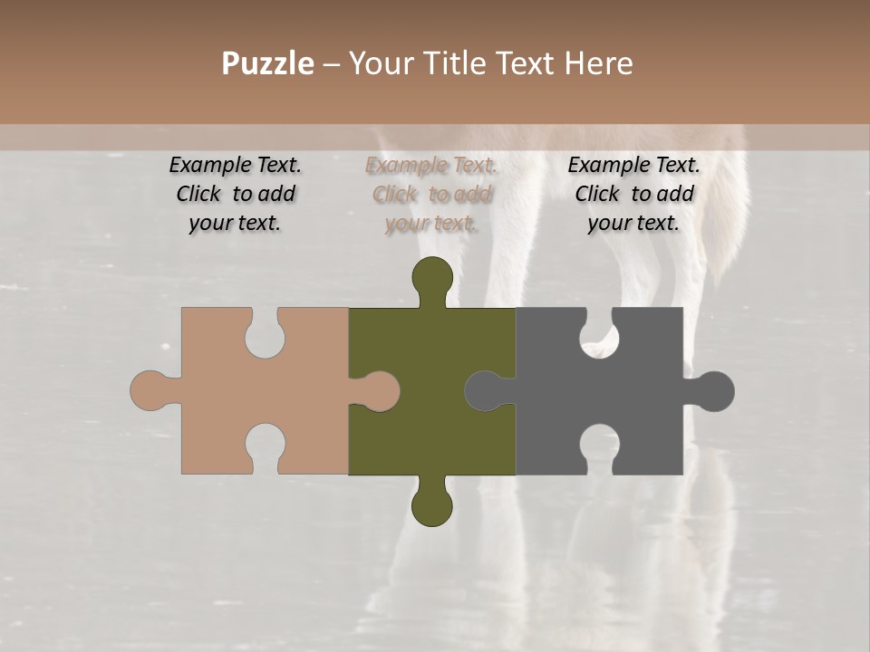 Gray Canine Danger PowerPoint Template