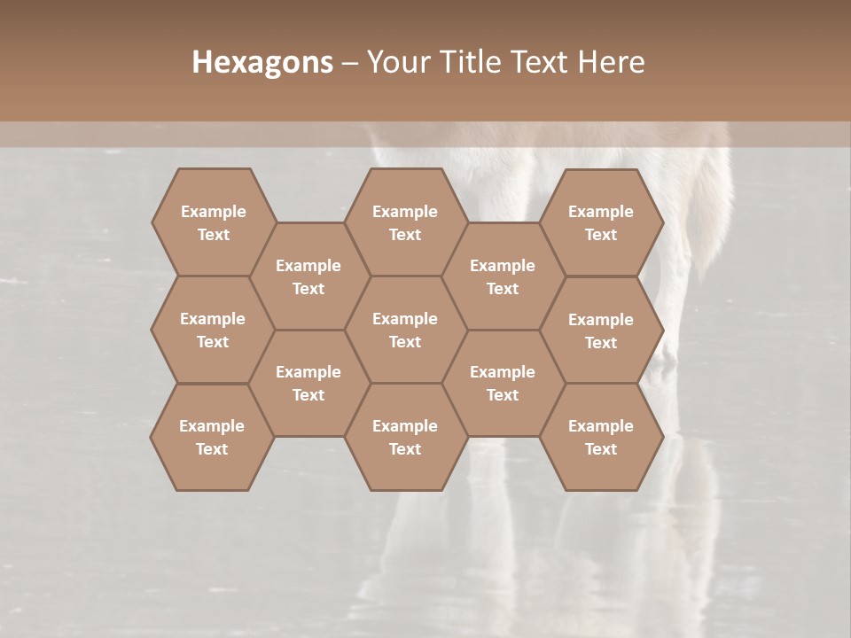 Gray Canine Danger PowerPoint Template