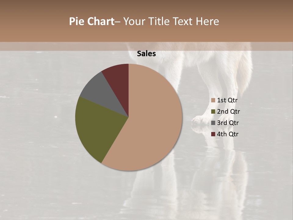 Gray Canine Danger PowerPoint Template