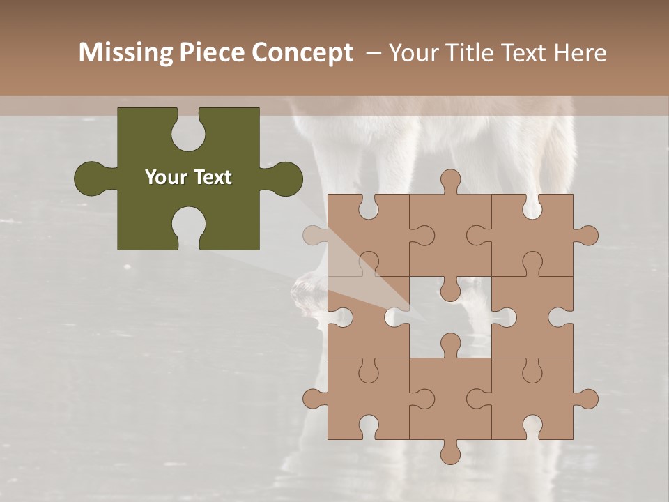 Gray Canine Danger PowerPoint Template