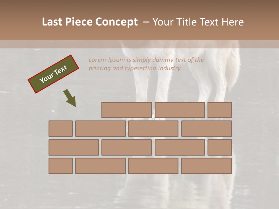 Gray Canine Danger PowerPoint Template