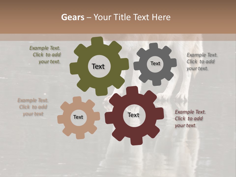 Gray Canine Danger PowerPoint Template