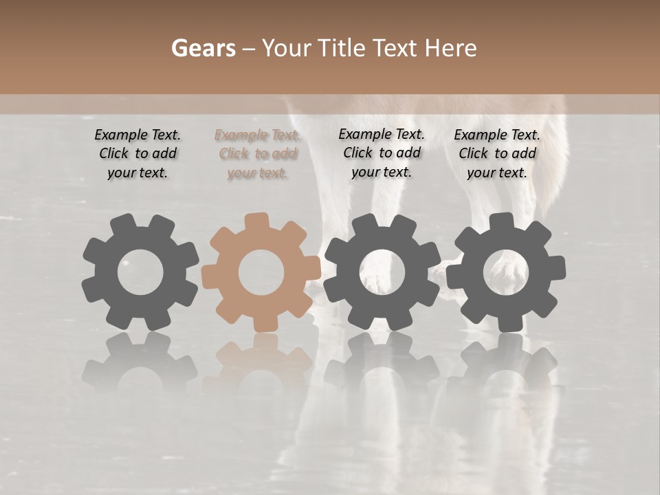 Gray Canine Danger PowerPoint Template