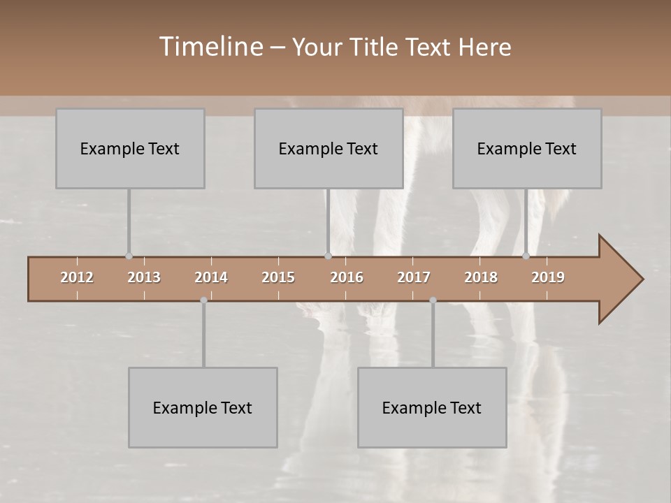Gray Canine Danger PowerPoint Template