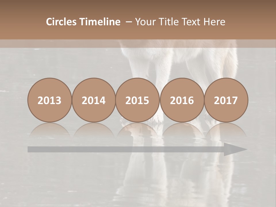 Gray Canine Danger PowerPoint Template